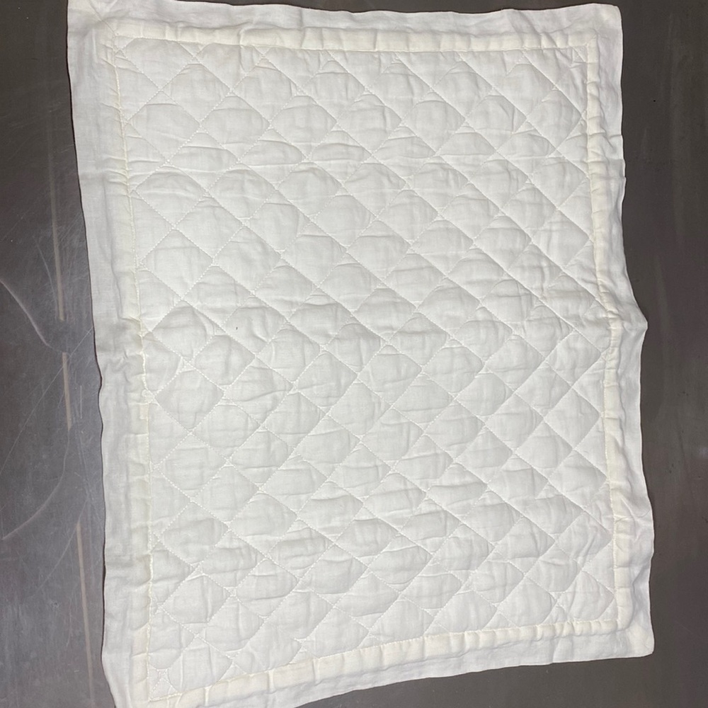 Pottery Barn Euro sham ivory linen